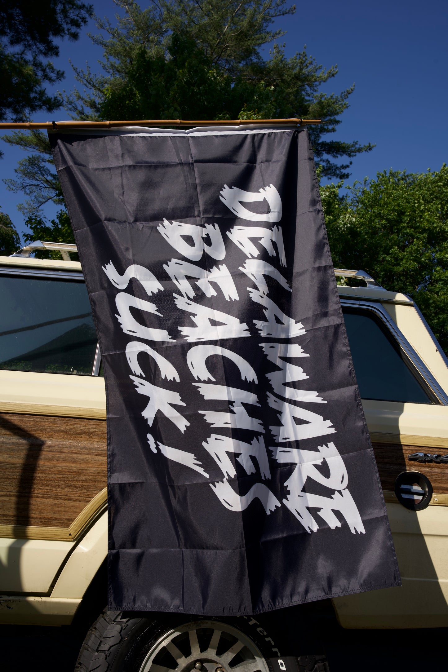 Delaware Beaches Suck Flag