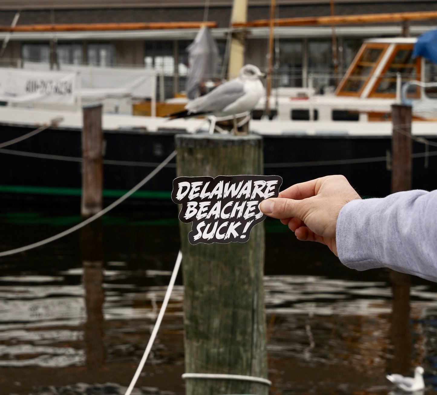 Delaware Beaches Suck Sticker (Large)