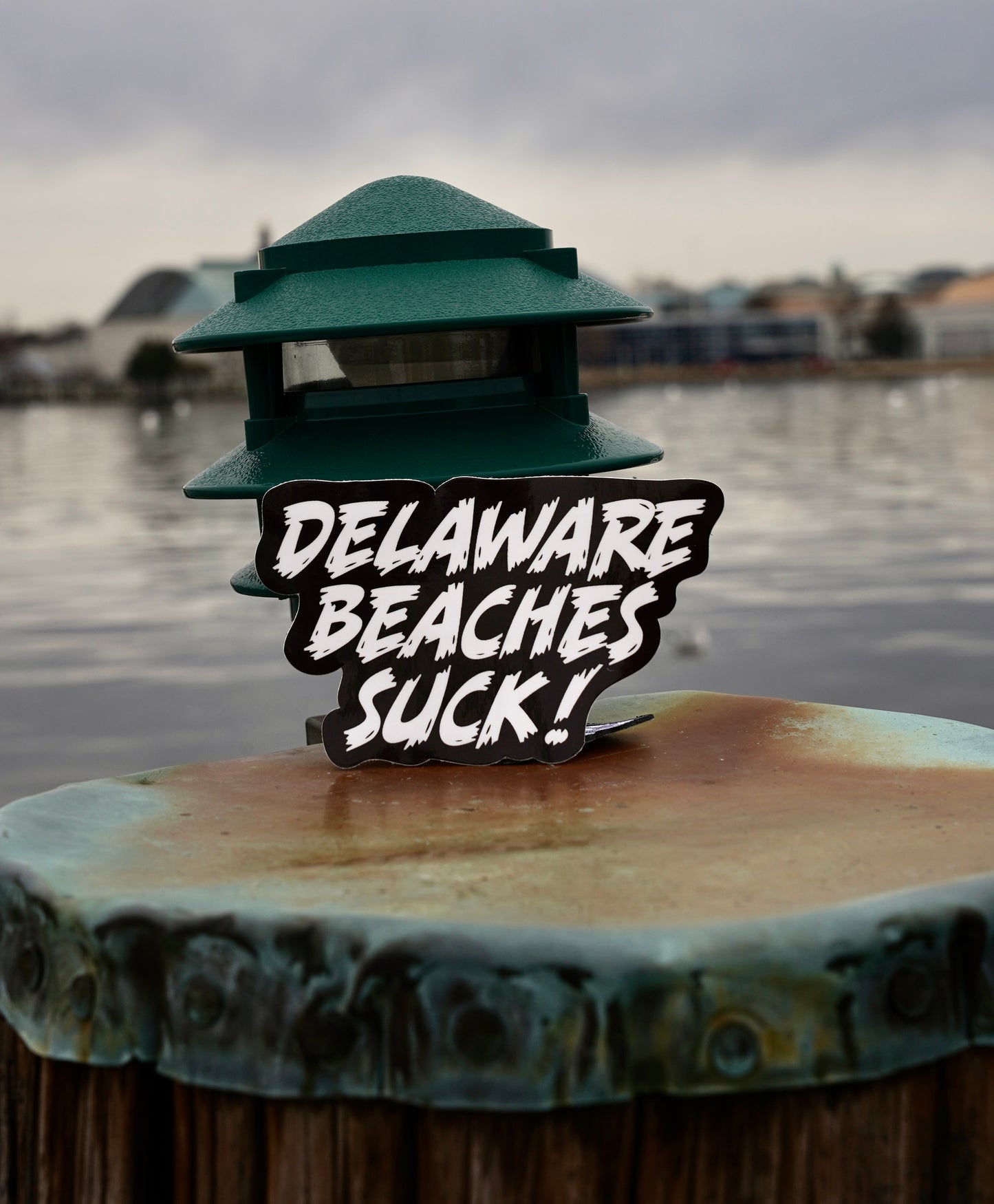 Delaware Beaches Suck Sticker (Large)