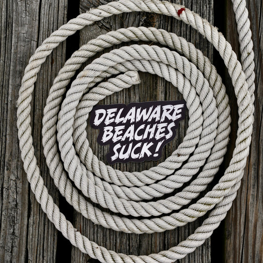 Delaware Beaches Suck Sticker (Large)