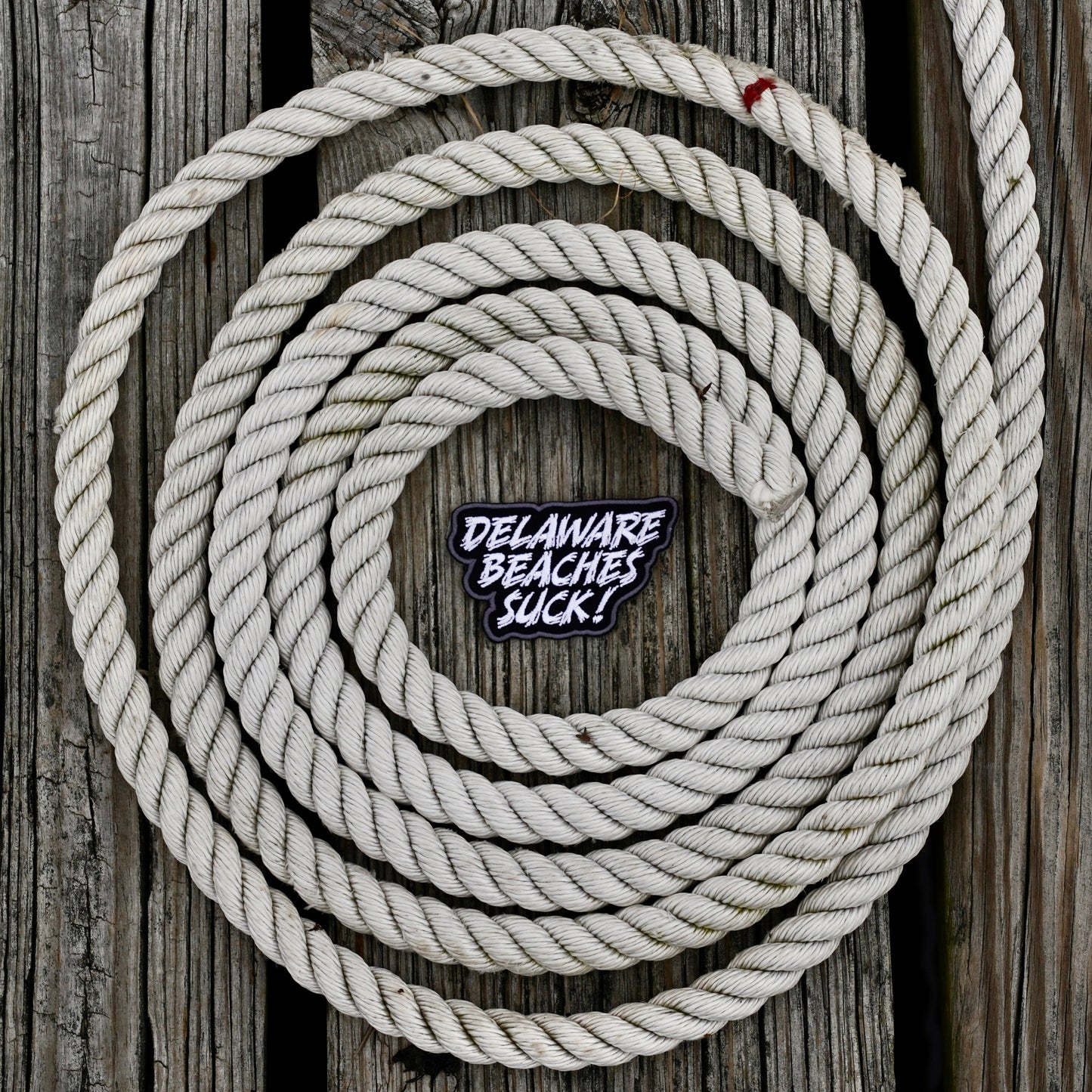 Delaware Beaches Suck Patch