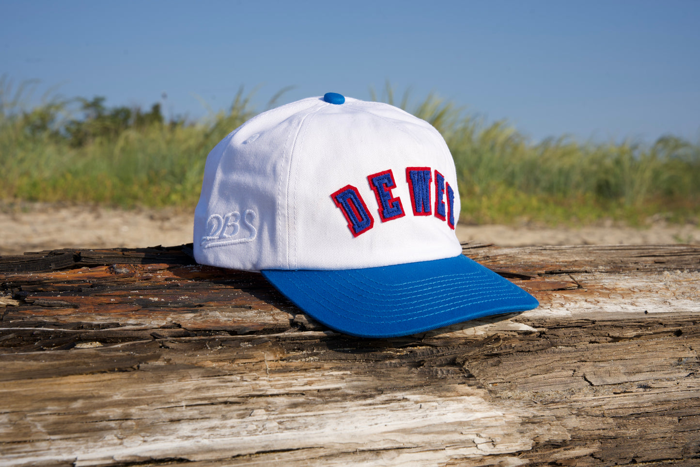 Dewey Town Hat