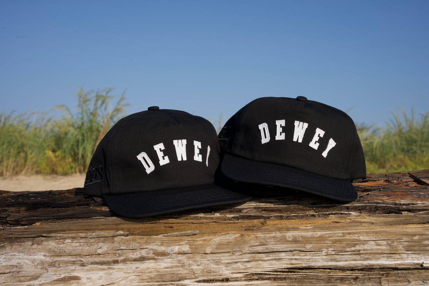 Dewey Town Hat